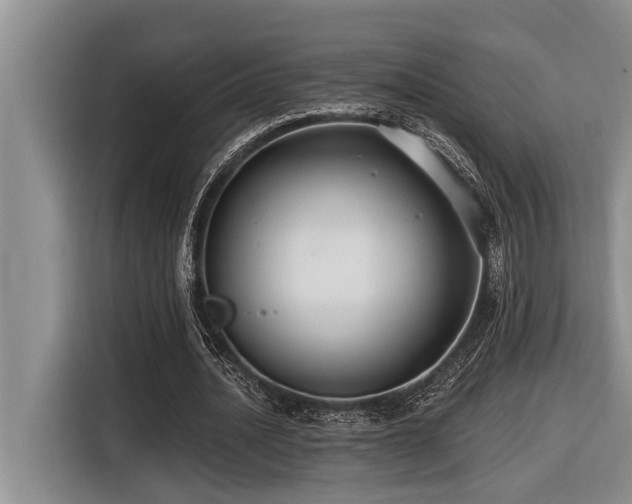 X0000116550628200912101414