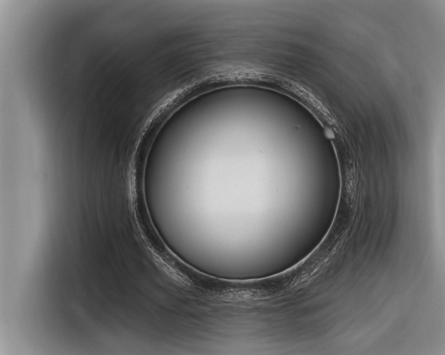 X0000116550629200912101414