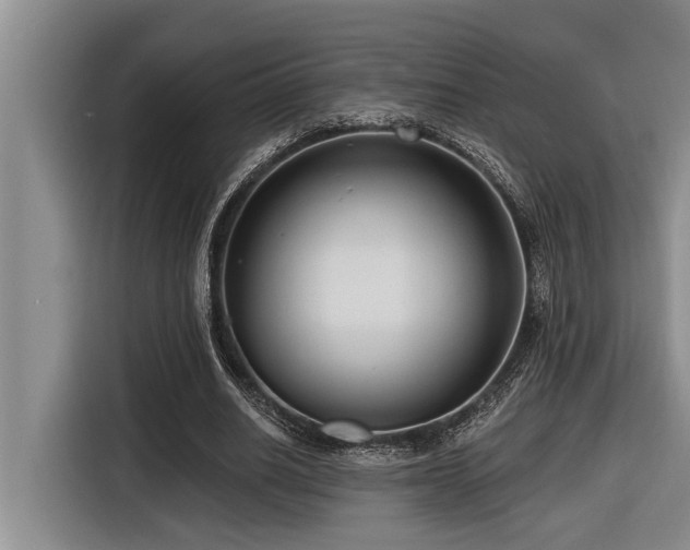 X0000116550630200912101414