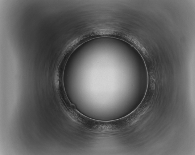 X0000116550631200912101414