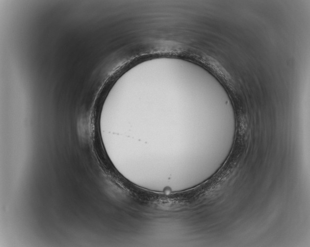 X0000116550632200912101414