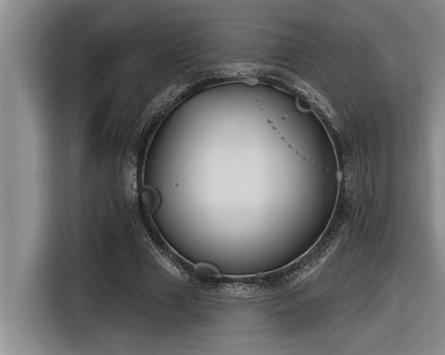 X0000116550633200912101414