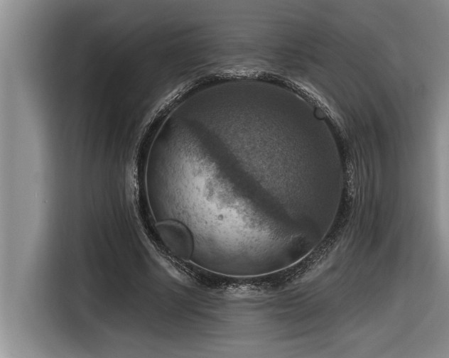 X0000116550634200912101414