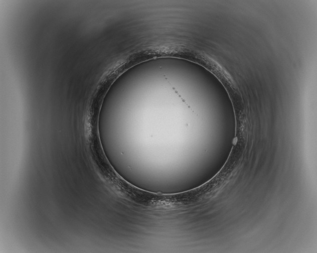 X0000116550635200912101414