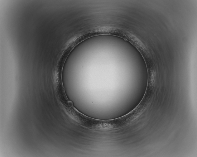 X0000116550636200912101414