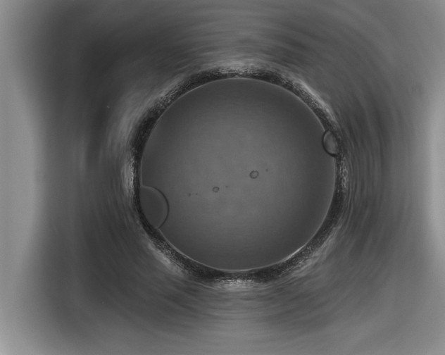 X0000116550637200912101414