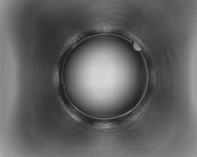 X0000116550638200912101414