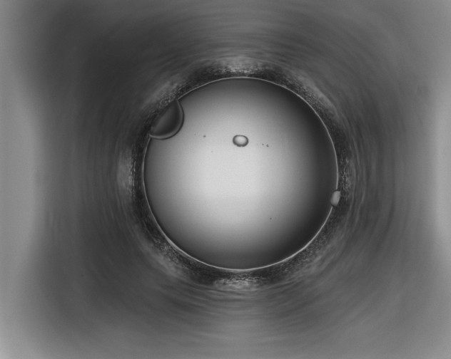 X0000116550639200912101414