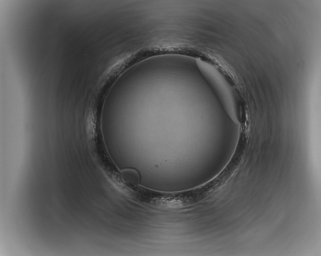 X0000116550640200912101414