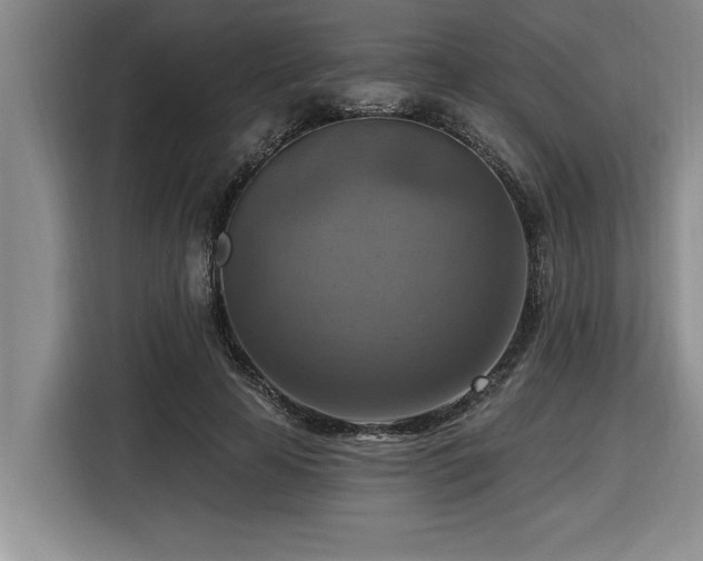 X0000116550641200912101414