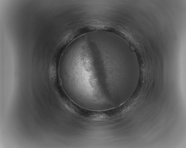 X0000116550642200912101414