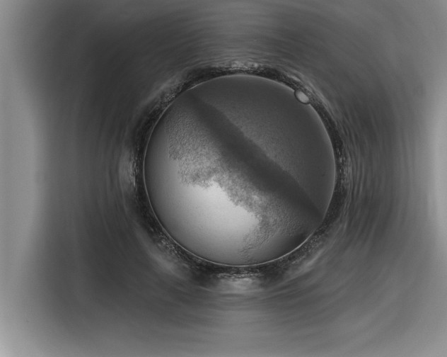 X0000116550643200912101414