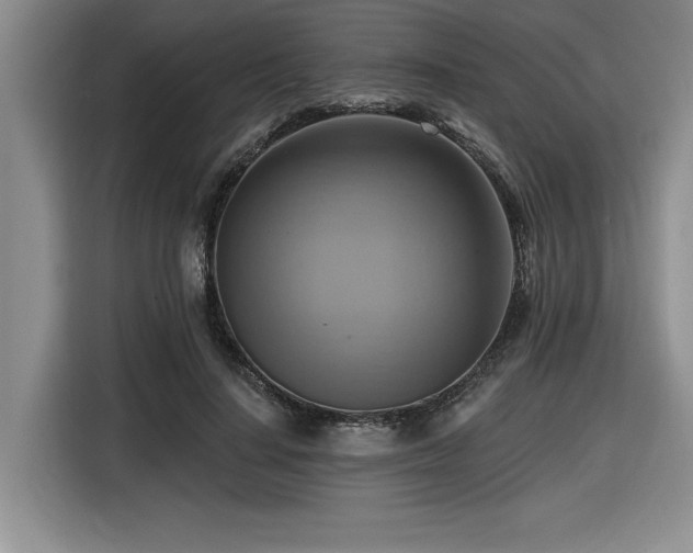 X0000116550644200912101414