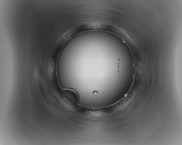 X0000116550645200912101414