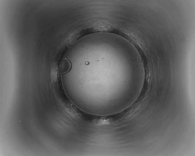 X0000116550647200912101414