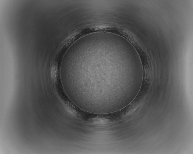 X0000116550648200912101414