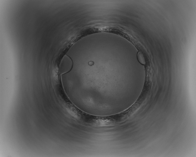 X0000116550650200912101414