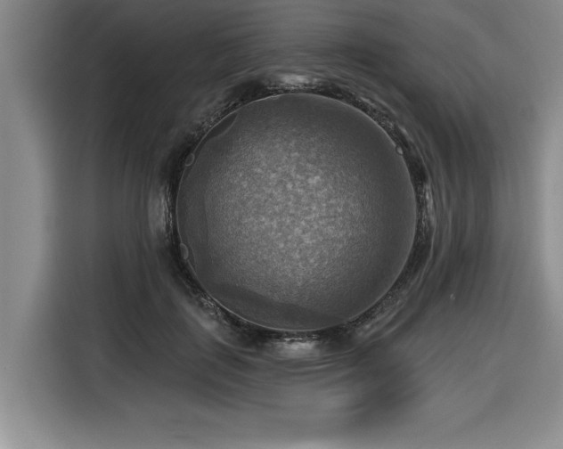 X0000116550651200912101414