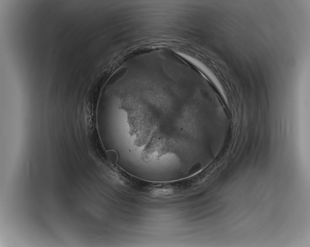 X0000116550653200912101415