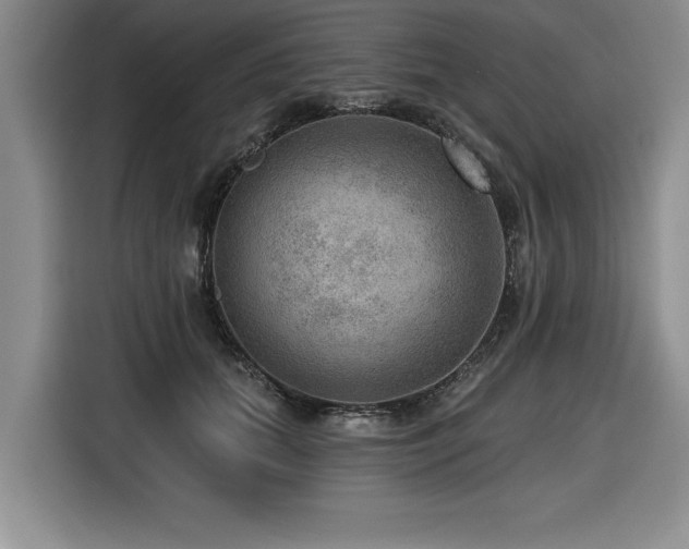 X0000116550655200912101415