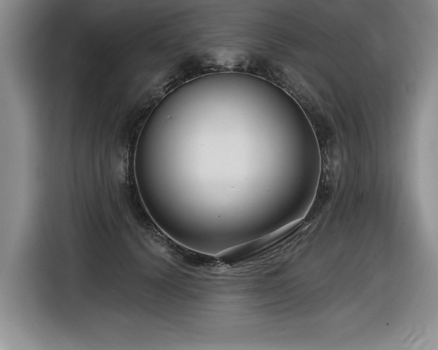 X0000116550656200912101415