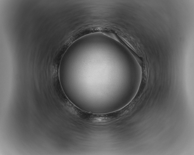 X0000116550657200912101415