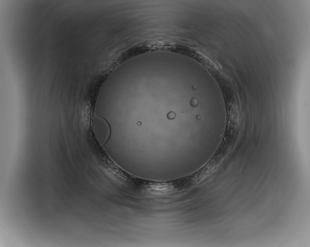 X0000116550659200912101415