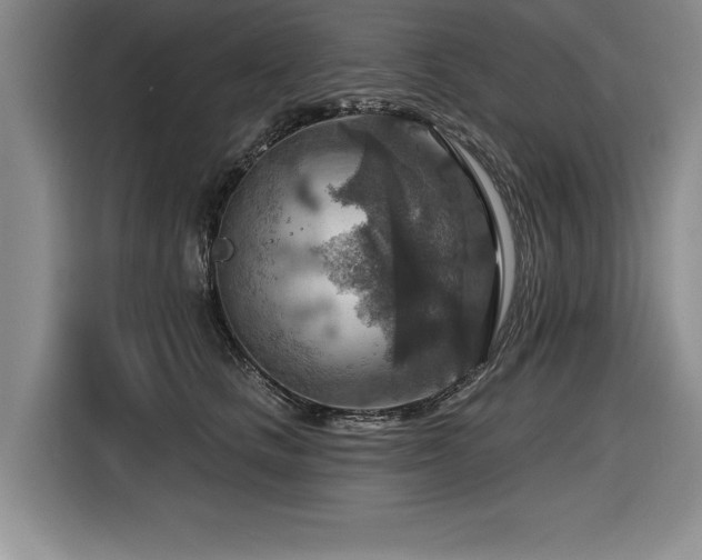 X0000116550661200912101415