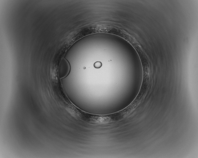 X0000116550663200912101415