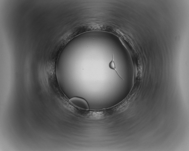 X0000116550665200912101415