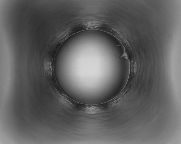 X0000116550666200912101415