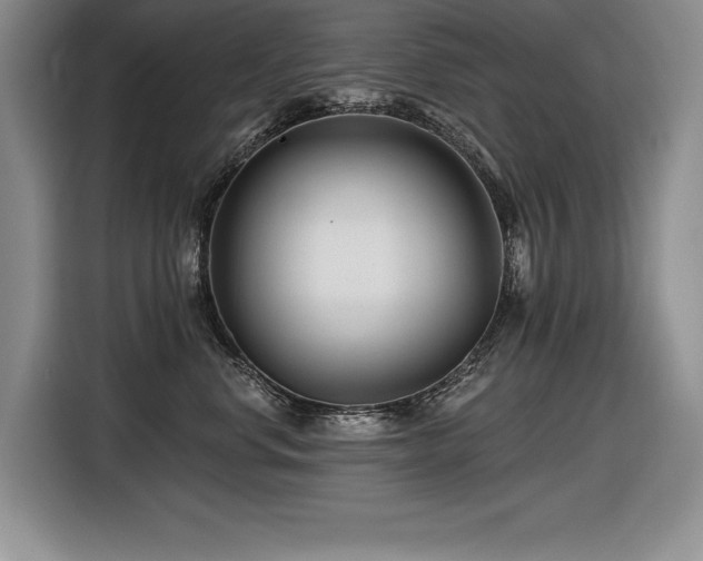 X0000116550668200912101415