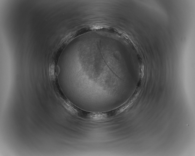 X0000116550670200912101415