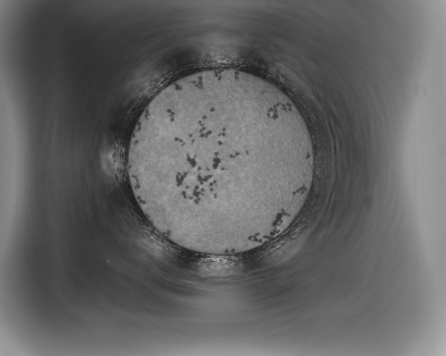 X0000116550672200912101415