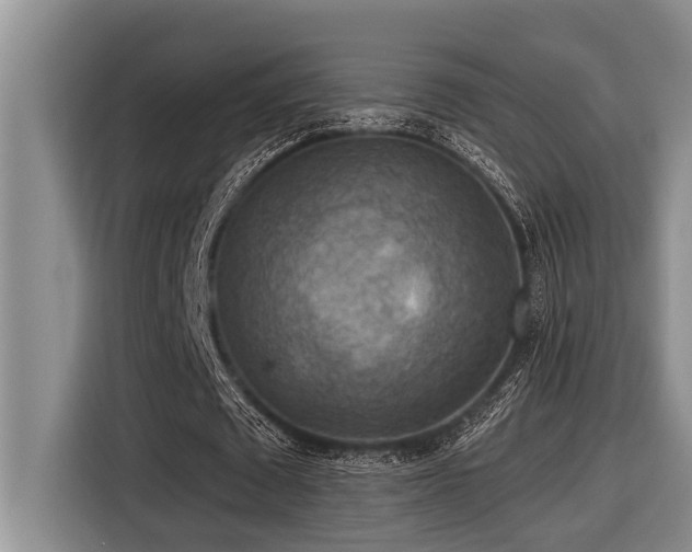 X0000116550673200912101414