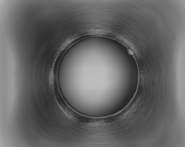 X0000116550674200912101414