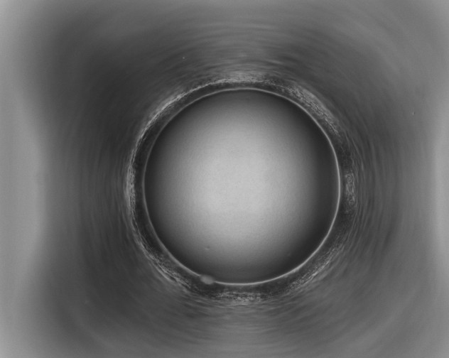 X0000116550676200912101414