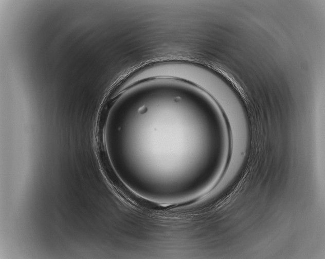 X0000116550677200912101414