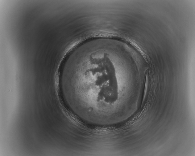 X0000116550679200912101414