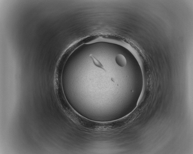 X0000116550680200912101414