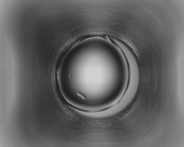 X0000116550681200912101414