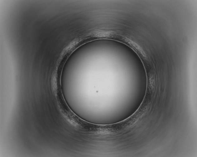 X0000116550682200912101414