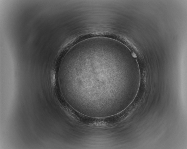 X0000116550685200912101414