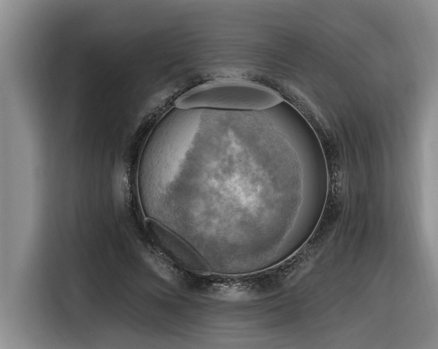 X0000116550688200912101414