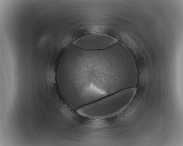 X0000116550689200912101414