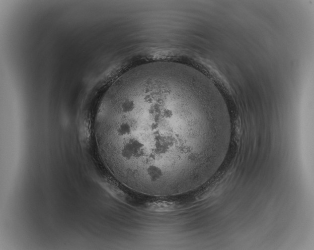 X0000116550691200912101414