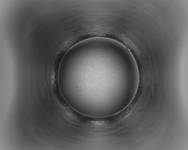 X0000116550693200912101414