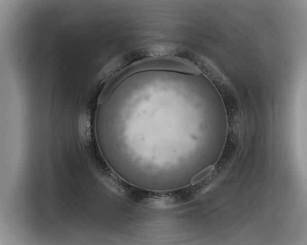 X0000116550696200912101414