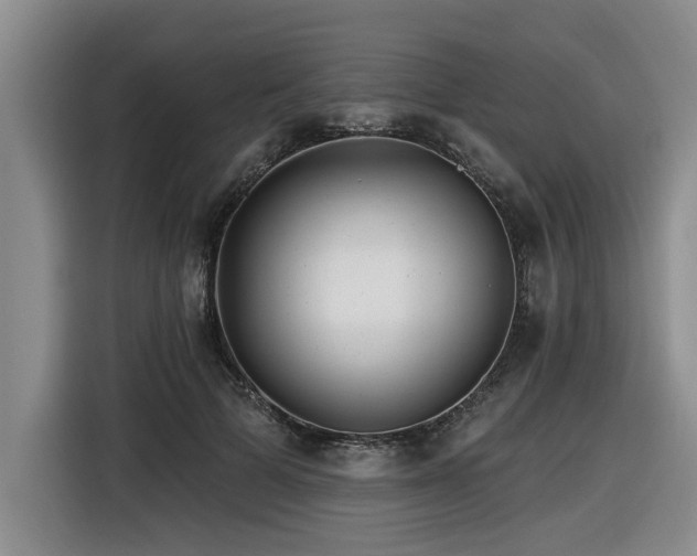 X0000116550697200912101414