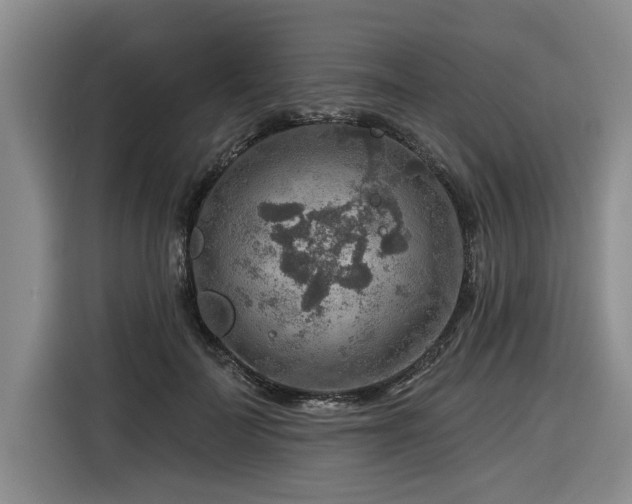 X0000116550699200912101414